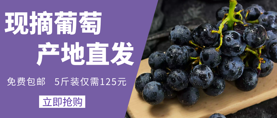 微信專享丨大觀園夏黑葡萄特大鉅惠，5斤裝僅需125元，免費包郵！